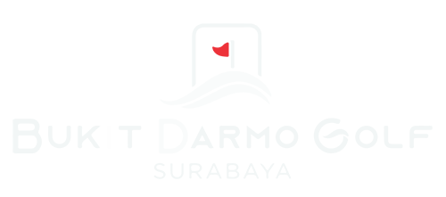 Logo BDG